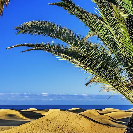 Chelsea Canteras By Canariasgetaway * Las Palmas de Gran Canaria